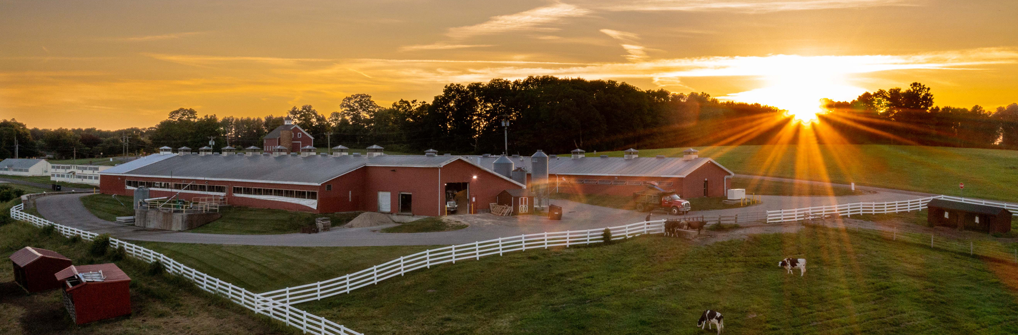 banner - Dairy Center at sunset