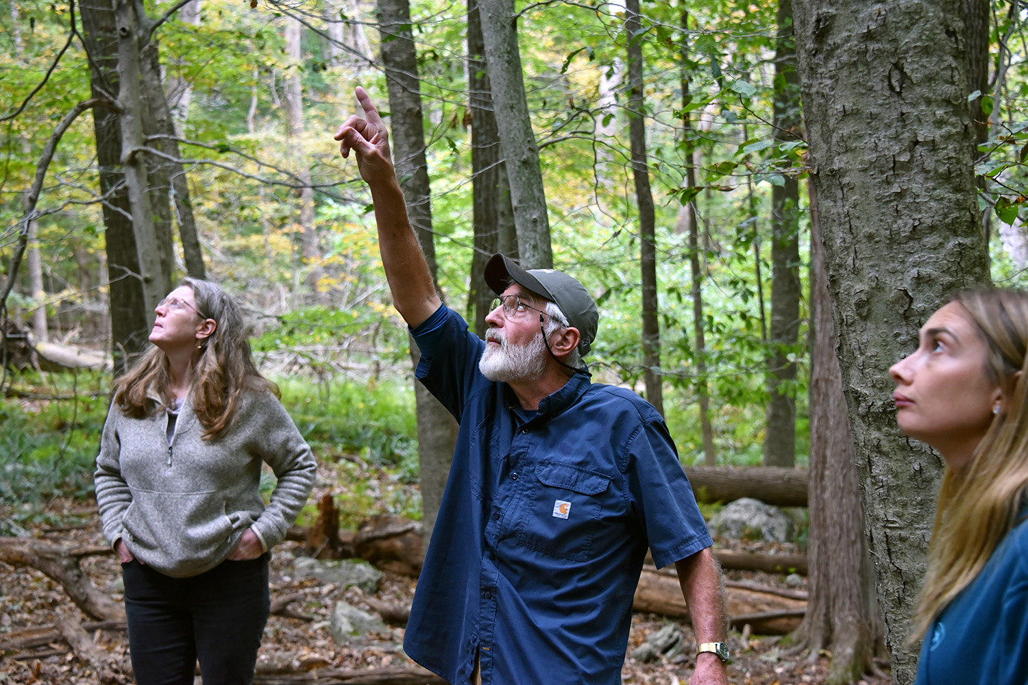 CAHNR Forest walk with Thomas Worthley