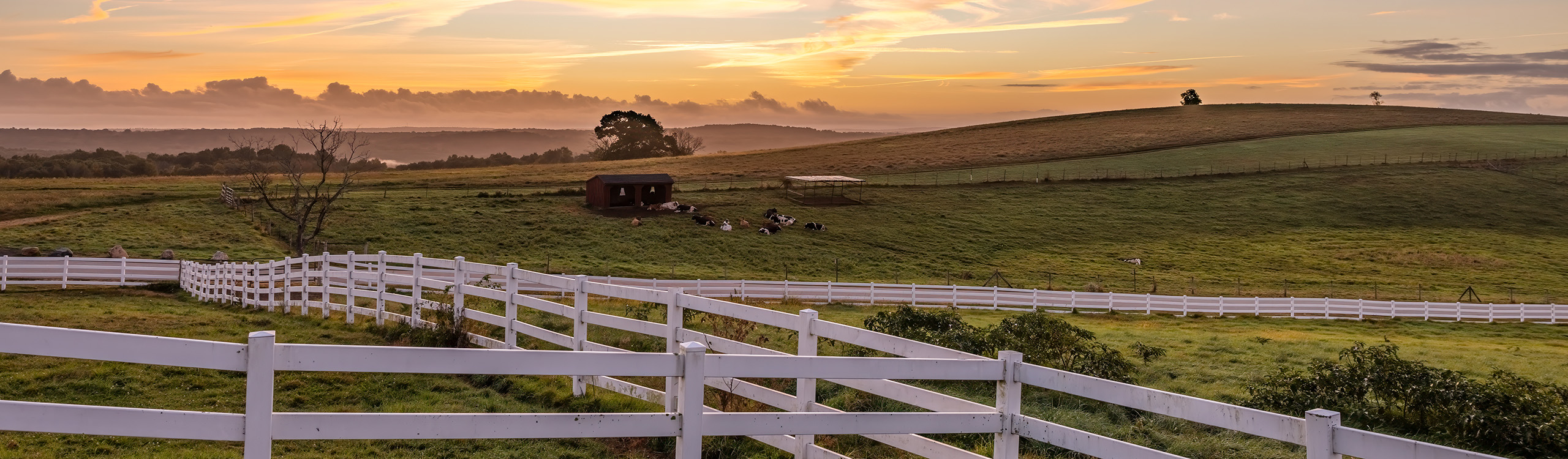 sunrise over horsebarn hill