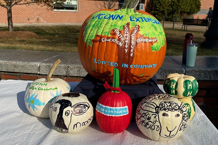 Painted pumpkins