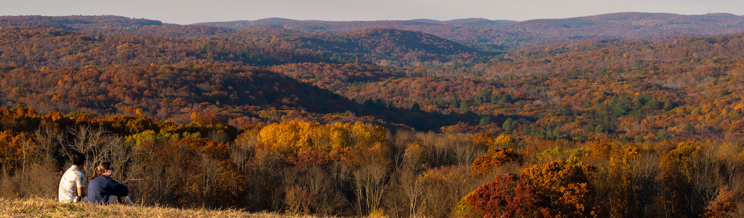 Two people sitting on a hill overlooking a forest in autumn