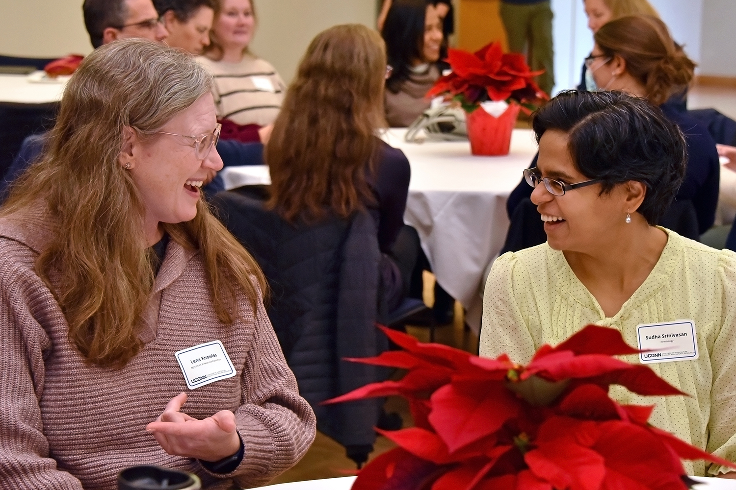 Faculty and staff holiday luncheon