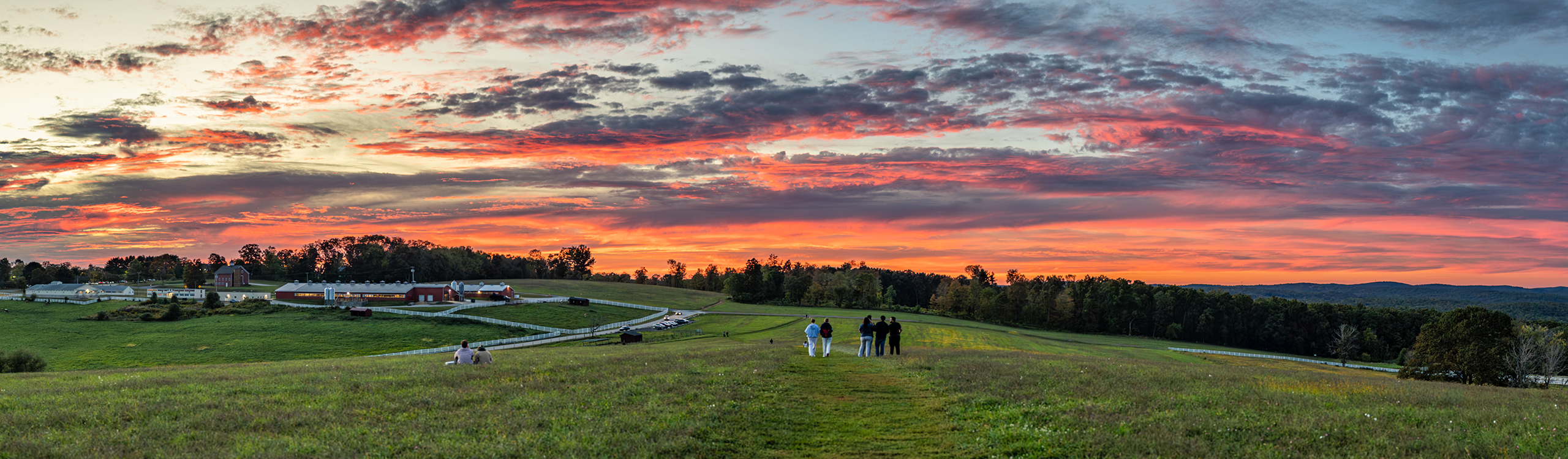 People walking on horsebarn hill during a picturesque sunset