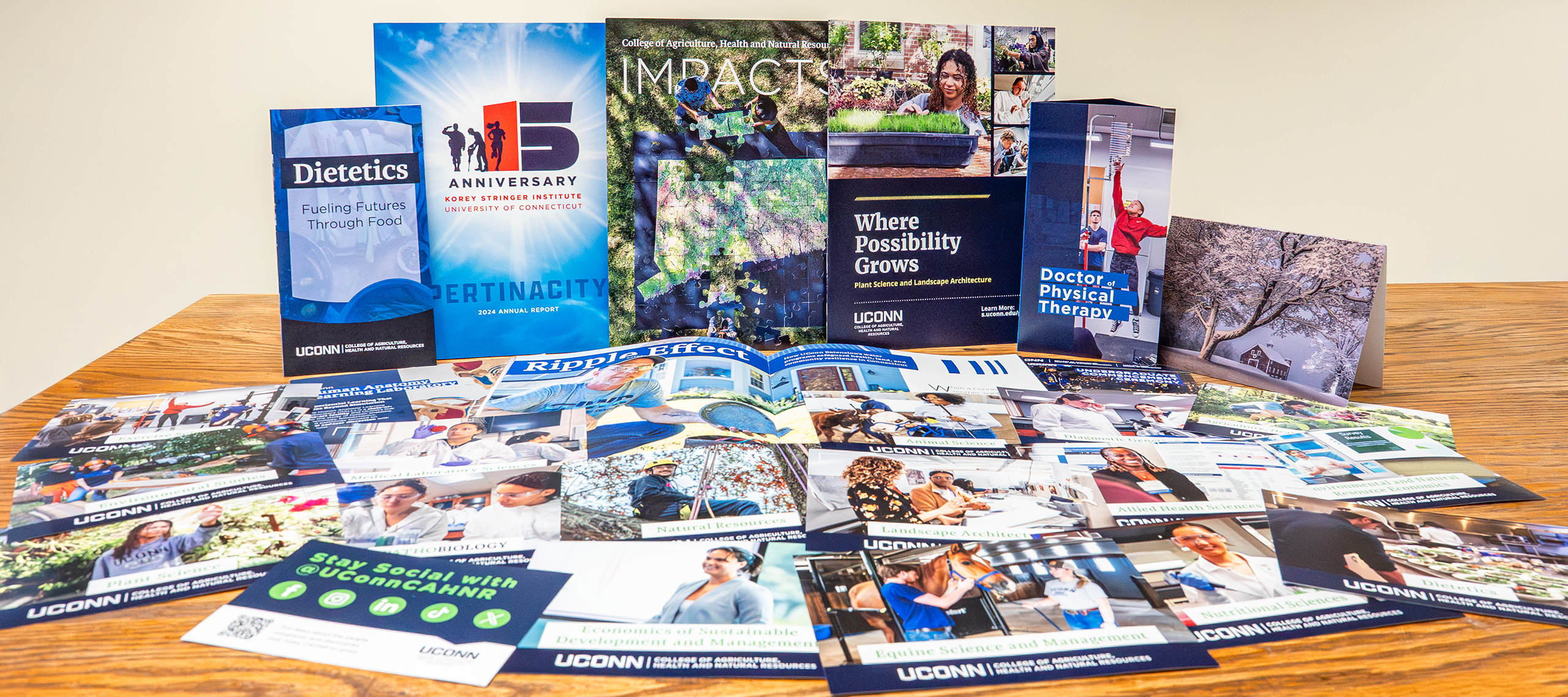 all of the print publications we made in 2025